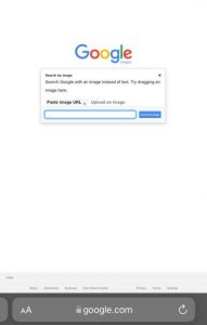 Reverse Image Search On iPhone