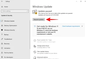 Windows 11 Update Not Showing