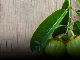 How to use Garcinia Cambogia Properly for Health