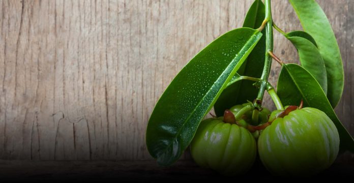 How to use Garcinia Cambogia Properly for Health
